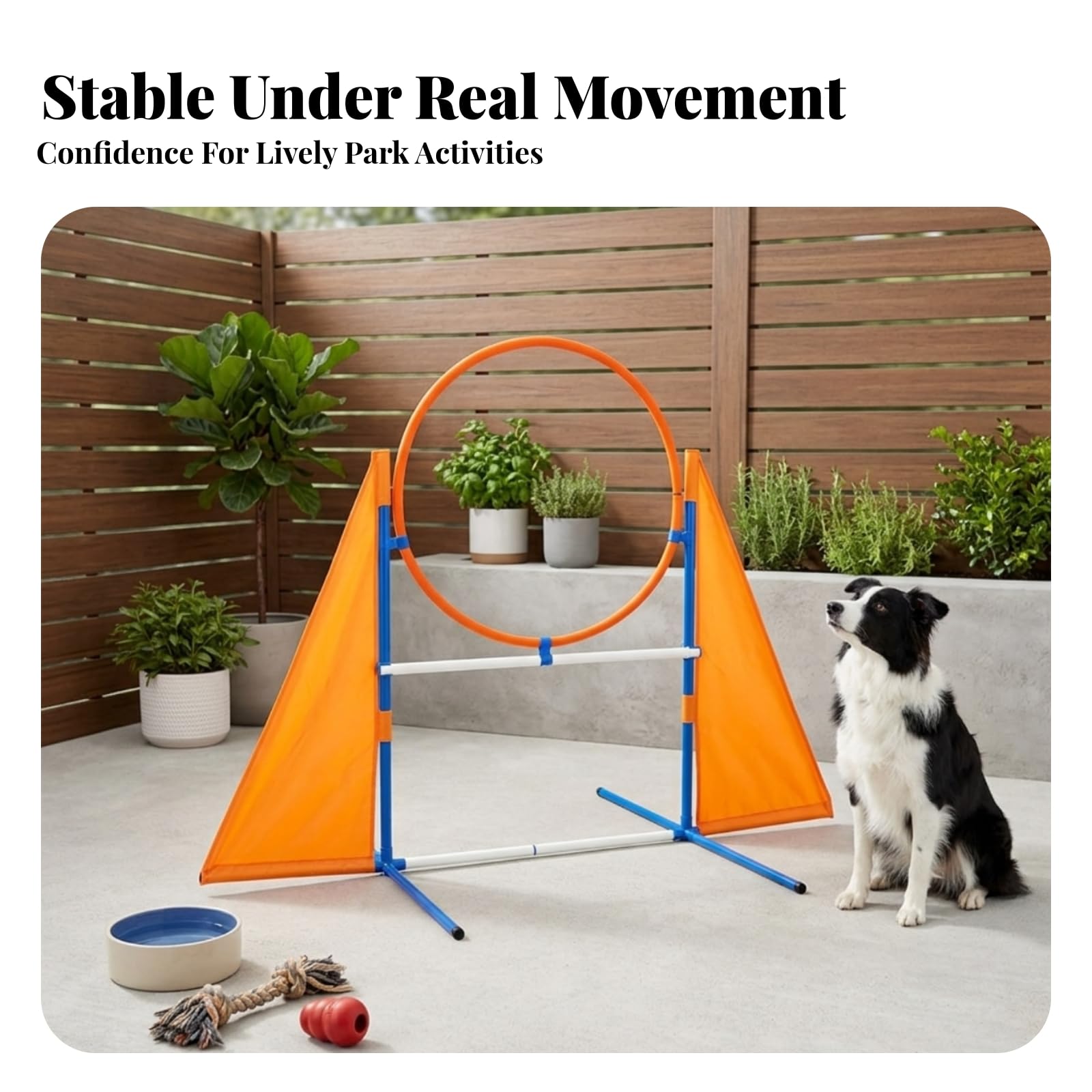 Agility Trainingshürde für Hunde mit Rahmen Und Fahnen aus Oxford Und Kunst für Gezieltes Springtraining Im Garten für Den Täglichen Gebrauch