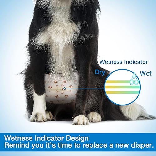 Miniatura 4 de Pet Soft Pañales desechables para perros machos, con indicador de humedad, ultra absorbentes, cómodos para incontinencia micción excitable, 50