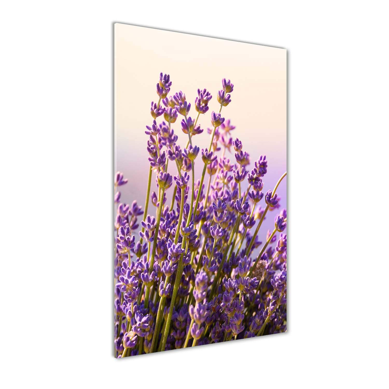 Image sur verre lavande violette tableau photo panoramique cuisine salon 60x120 cm