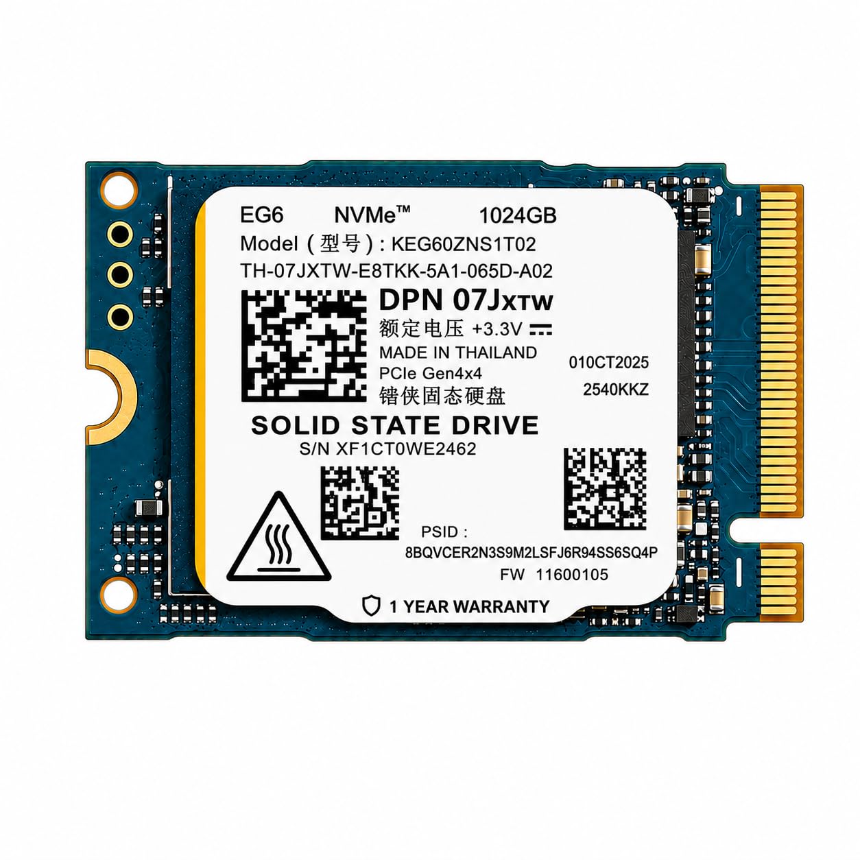 Amazon.in: Buy 1TB M.2 NVMe SSD EG6 (OEM) Compatible with KIOXIA