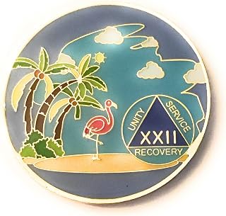 22 Year AA, Alcoholics Anonymous Beach Medallion, Chip, Token, Blue, Palm Tree with Flamingo