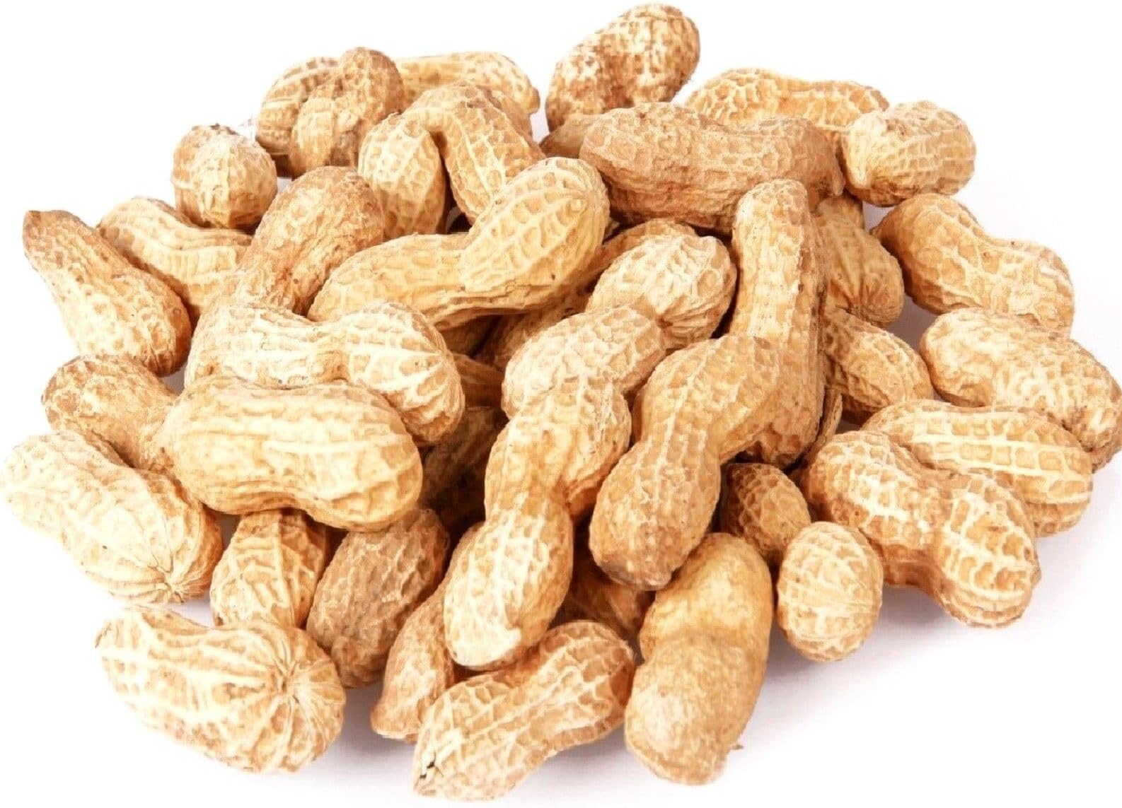 PEANUTS IN SHELLS - MONKEY NUTS 2kg Premium Safe Afflotoxin Free suitable for Squirrels Birds Parrots Rodents Wildlife Food Feed - GET THEM SOONER 24HR TRACKED PREMIUM SERVICE