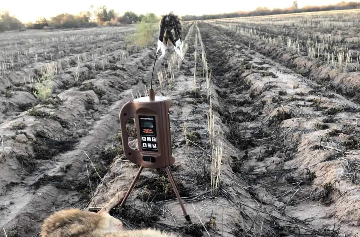 MOJO Triple Threat E-Caller & MOJO Triple Threat 2 Bag – Complete Hunting System Caller with 80 Sounds & Matching Carry Bag - Sold Separately