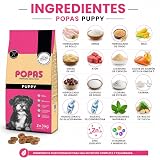 Ver la foto 2
