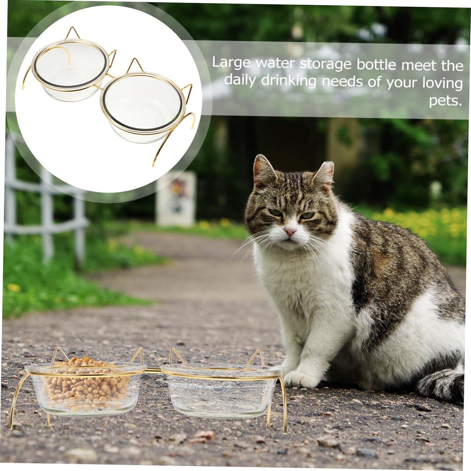 Elevated Cat Feeding Bowl Tilted Design for Easy Swallowing Material and Rack for Cats for Reduced Food Waste and Dining Environment