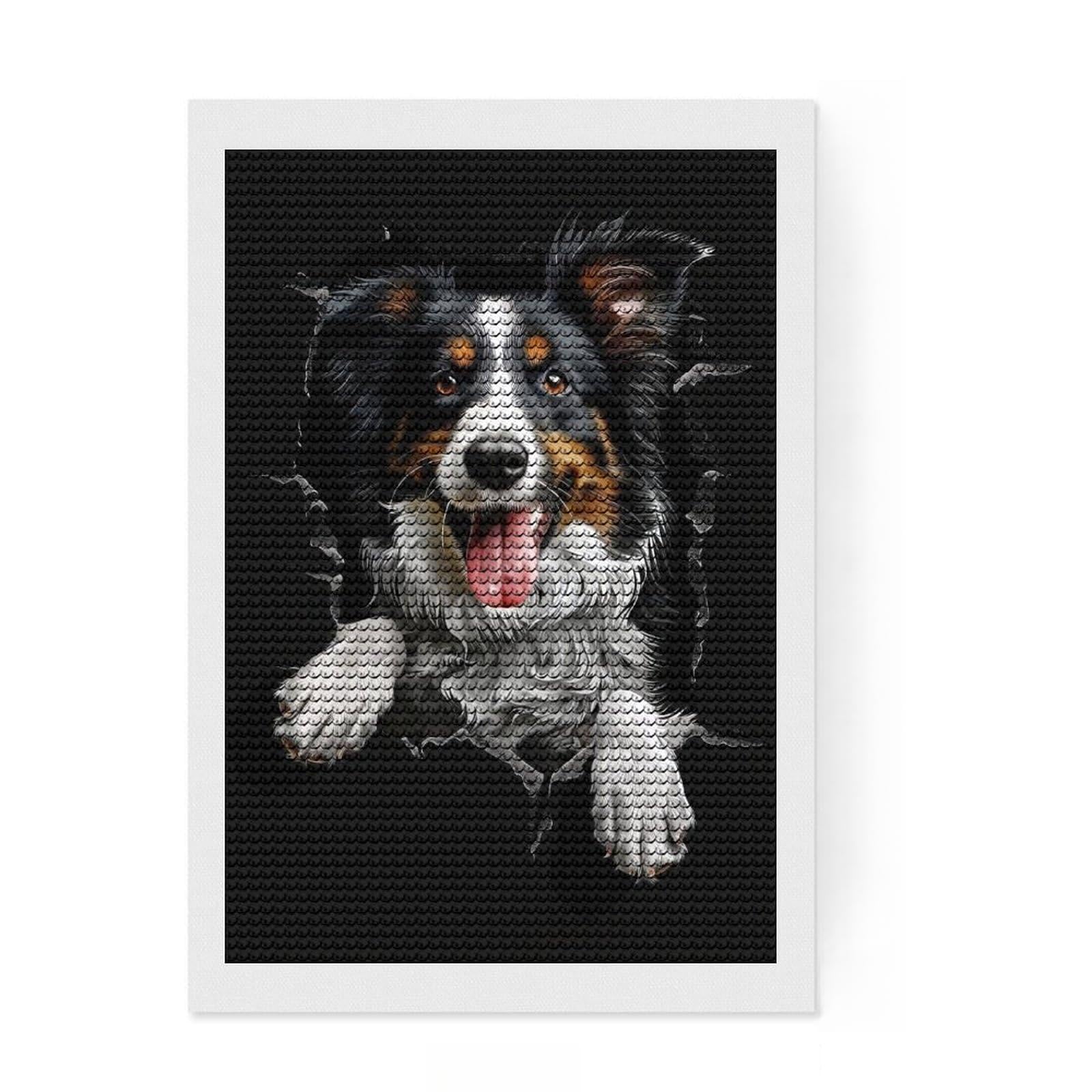 Junmoney Collie DIY Diamond Art Canvas Kit 8"x12", Adhesive Canvas, Sparkling Round Gems, Bedroom Decor, for Beginners
