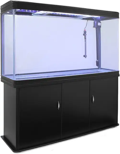 Aquarium 300 litres MonsterShop - Bords noir avec meuble support noir