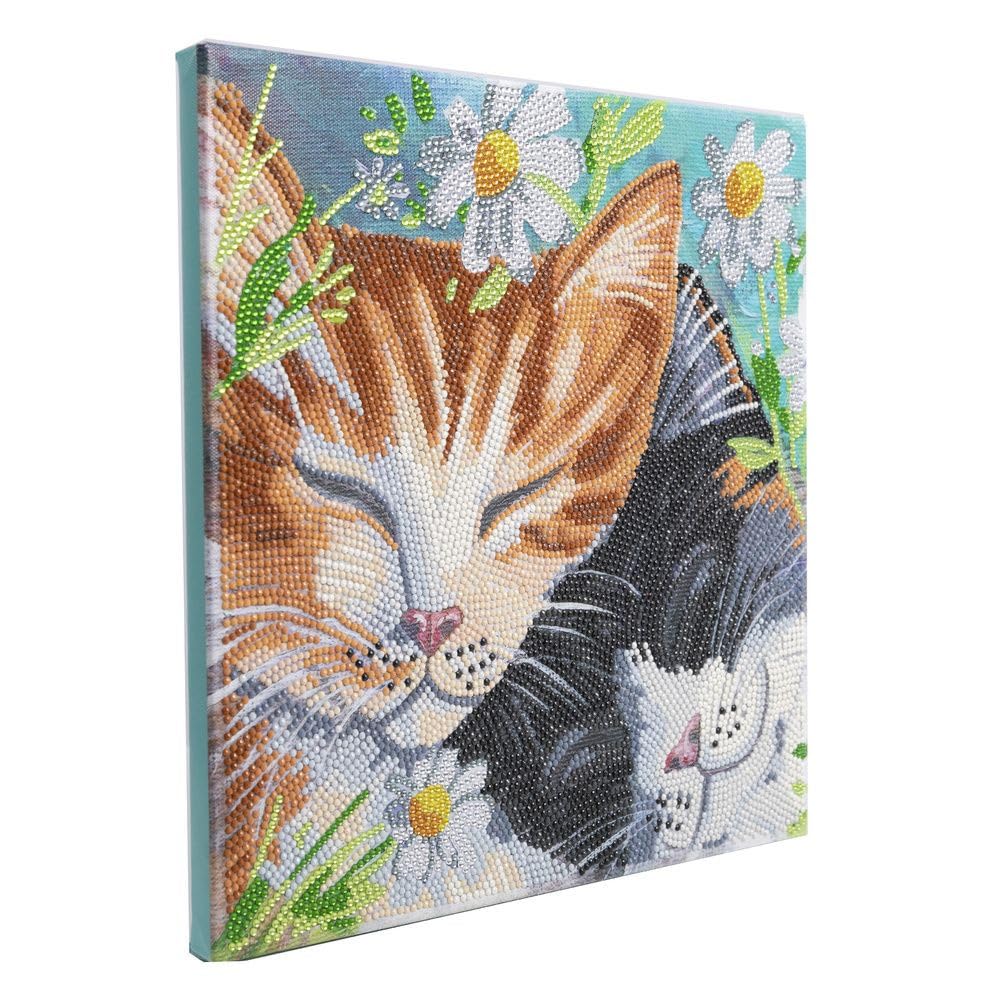 CRYSTAL ART - Kit Tableau Broderie Diamant sur Chassis Toilé - Activité Manuelle de Peinture - Loisirs Créatifs - Adulte et Enfant - Thème : Chats Dormeurs - Format : 30 x 30 cm