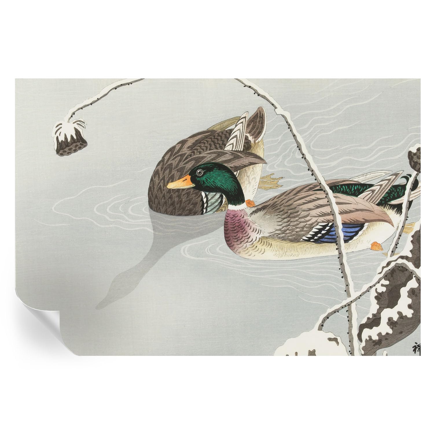 Decoración de pared de patos tranquilos 152x104 cm para tapar imperfecciones 1