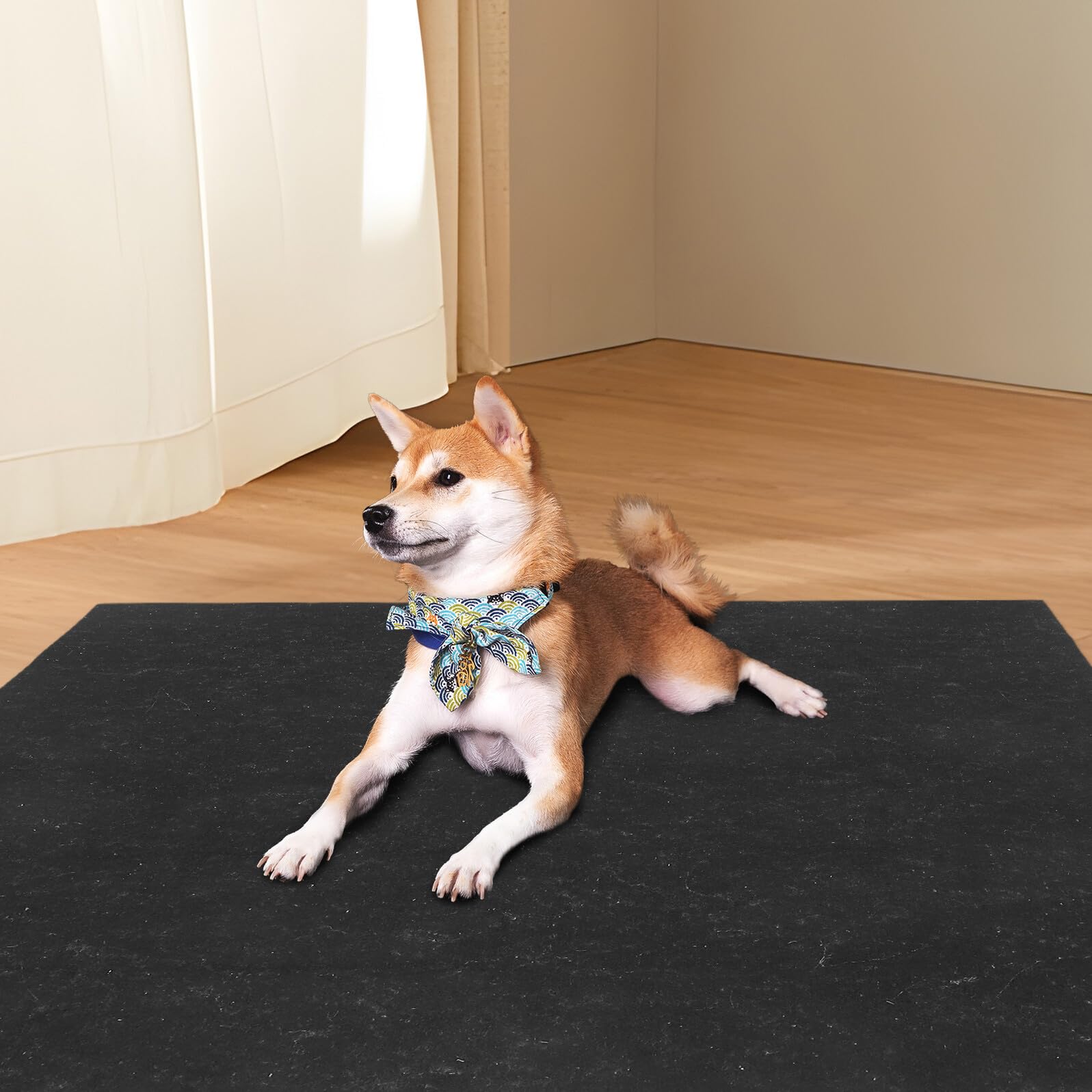 TOYANDONA Almohadilla para Orina de Perro Lavable y Reutilizable de Fieltro para Entrenamiento en Casa y Jaula, Promueve Buenos Hábitos y Absorción