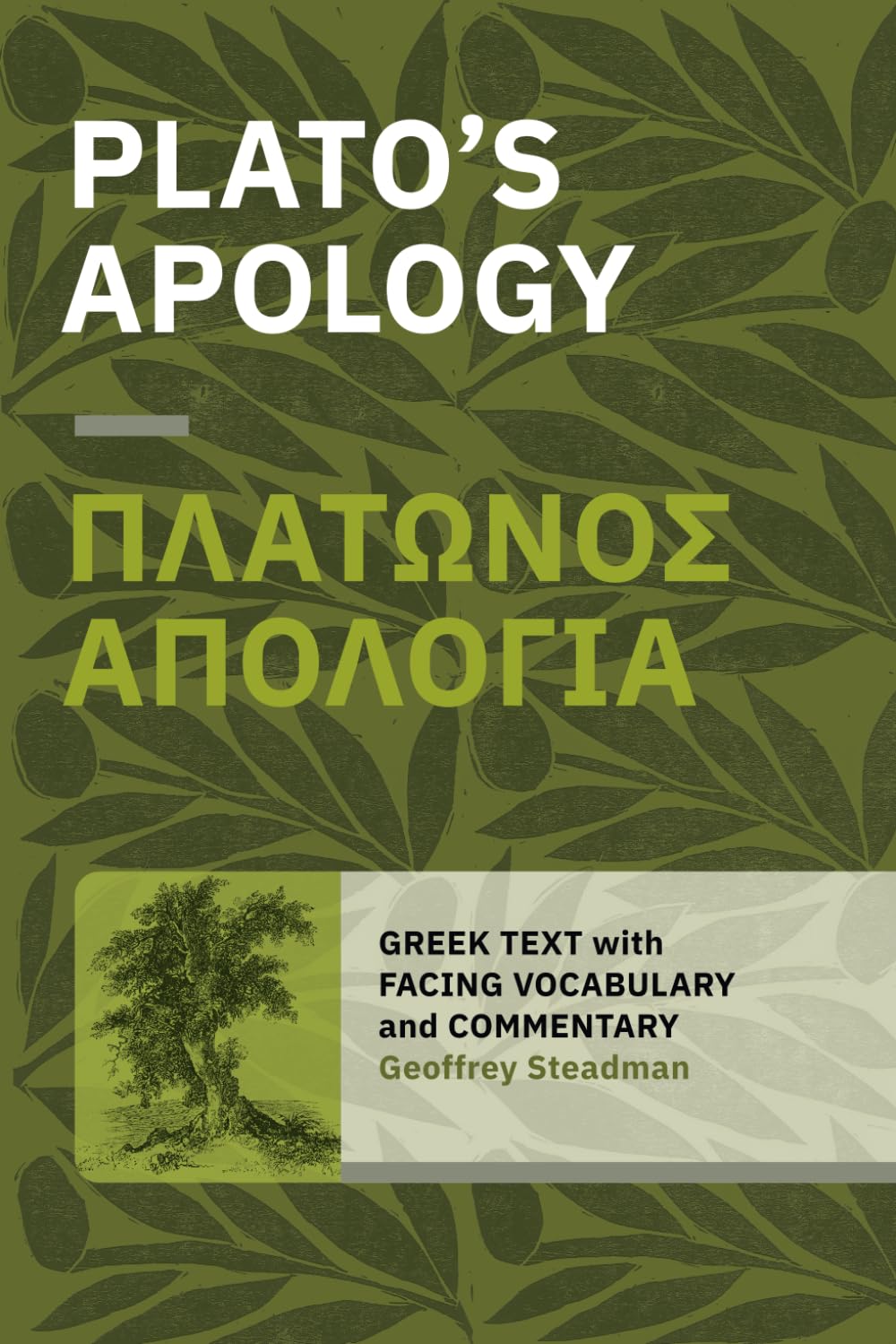 Plato's Apology: Greek Text with Facing Vocabulary and Commentary Paperback – 29 July 2020