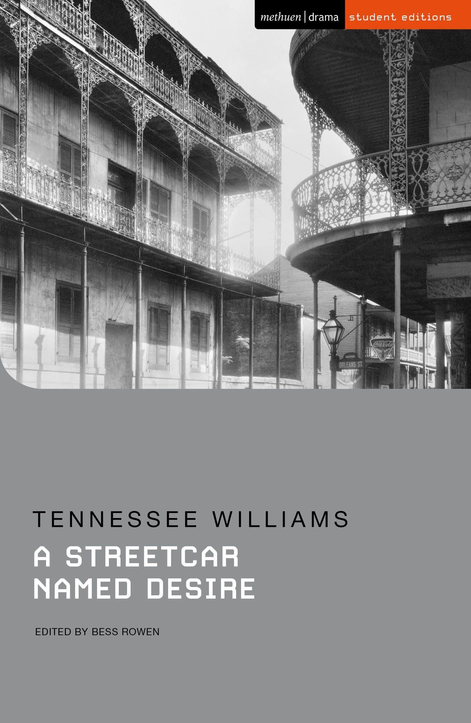 Tennessee Williams A Streetcar Named Desire Paperback Book