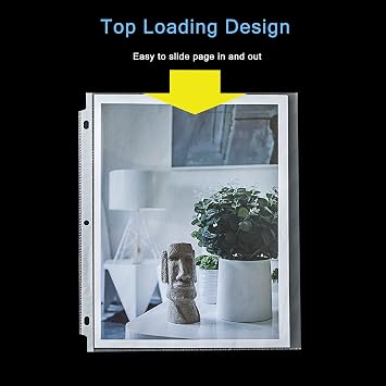 Seashell 100 Economy Non-Glare Sheet Protectors, Plastic Page Protectors for 3 Ring Binder, Letter Size, Top Loading, 3 Hole Punched, Binder Sleeves for 8.5 x 11 Paper, for School and Office use...