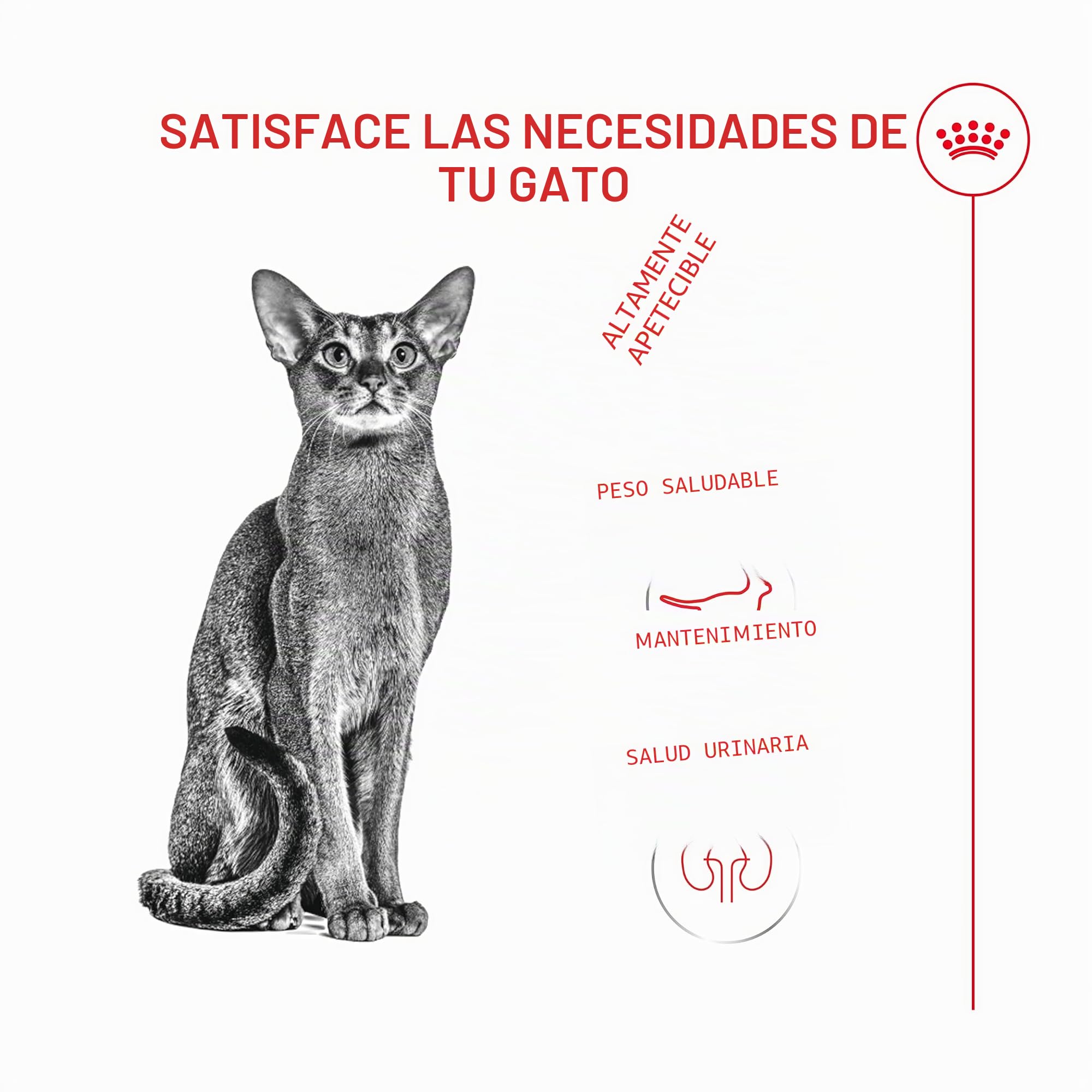 Royal Fussy Exigent PIENSO Gato Adulto 1X10KG