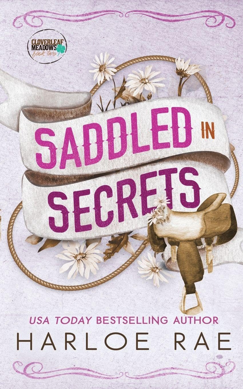 Saddled in Secrets: A protective bodyguard small town standalone romance (Cloverleaf Meadows)