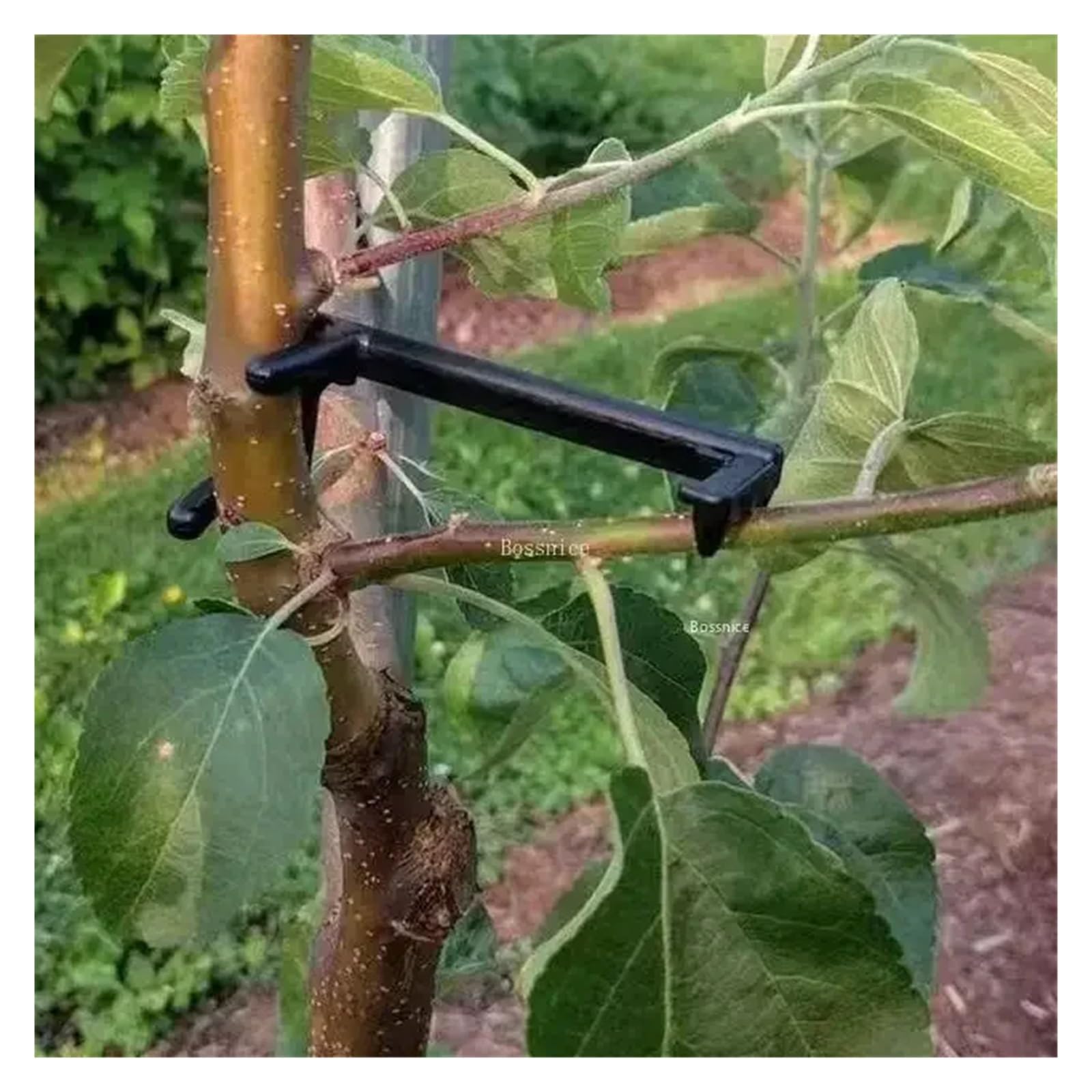 Tutores para Plantas 10-30 Uds Clips de árboles frutales Soporte de Plantas de Enredaderas moldeadores de torsión Extractor de Ramas Herramientas de jardín curvadas de estilismo Giratorio(30Pcs)
