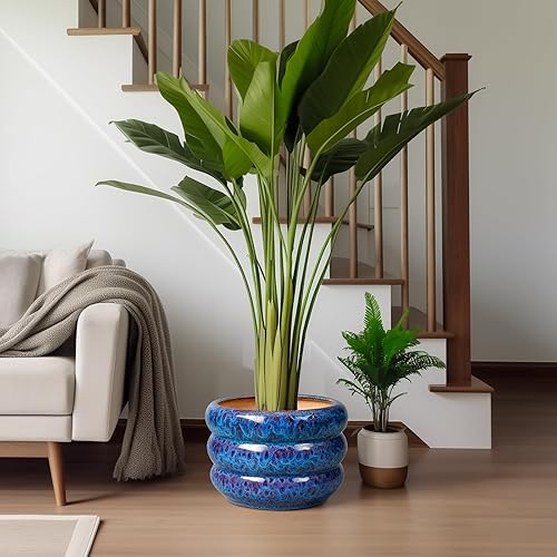 Miniatura 6 de SQOWL Maceta de cerámica para plantas, maceta de 10 pulgadas para interiores y exteriores, con orificio de drenaje, maceta grande decorativa para