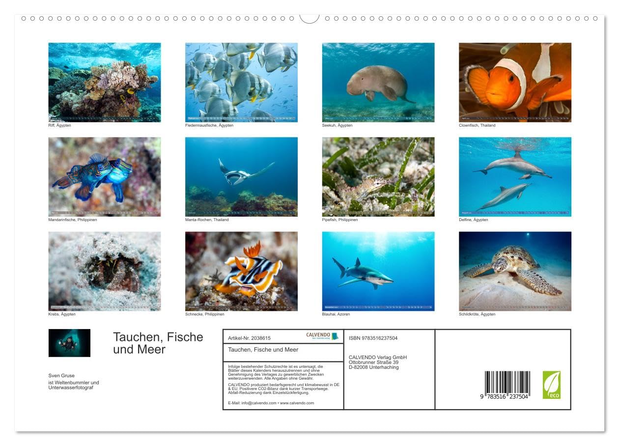 Tauchen, Fische und Meer (hochwertiger Premium Wandkalender 2026 DIN A2 quer), Kunstdruck in Hochglanz: Unterwasserimpressionen