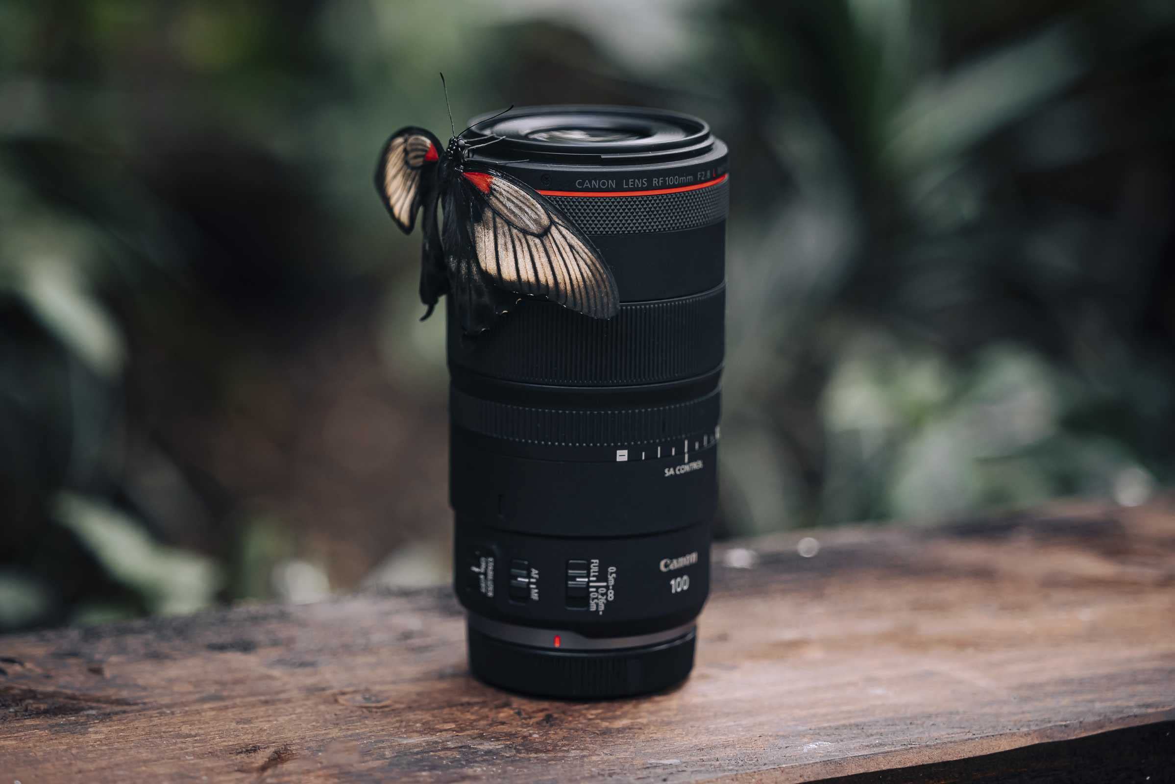 Canon ET-83G posemètre