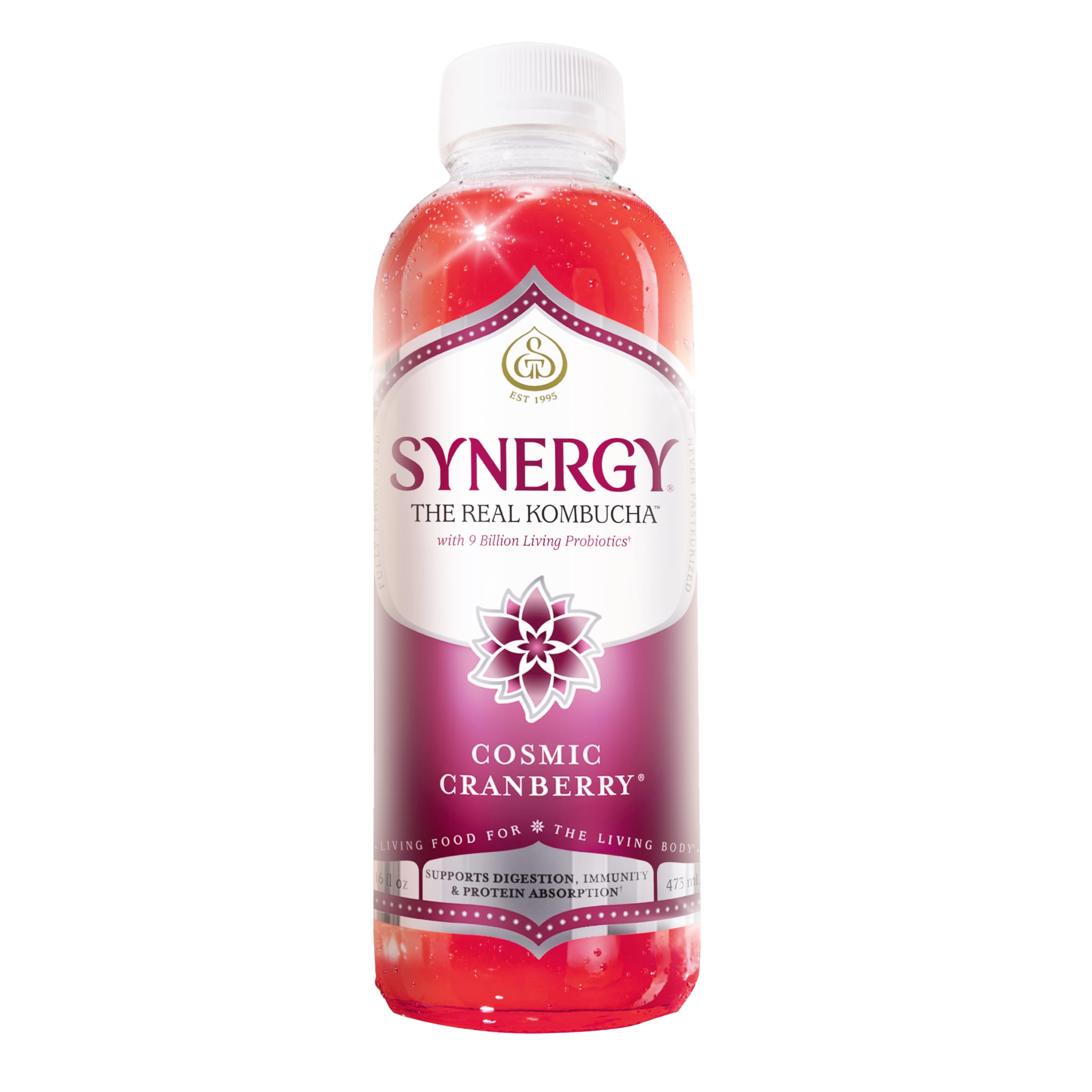 Amazon.com: SYNERGY The Real Kombucha - Cosmic Cranberry - 16 fl