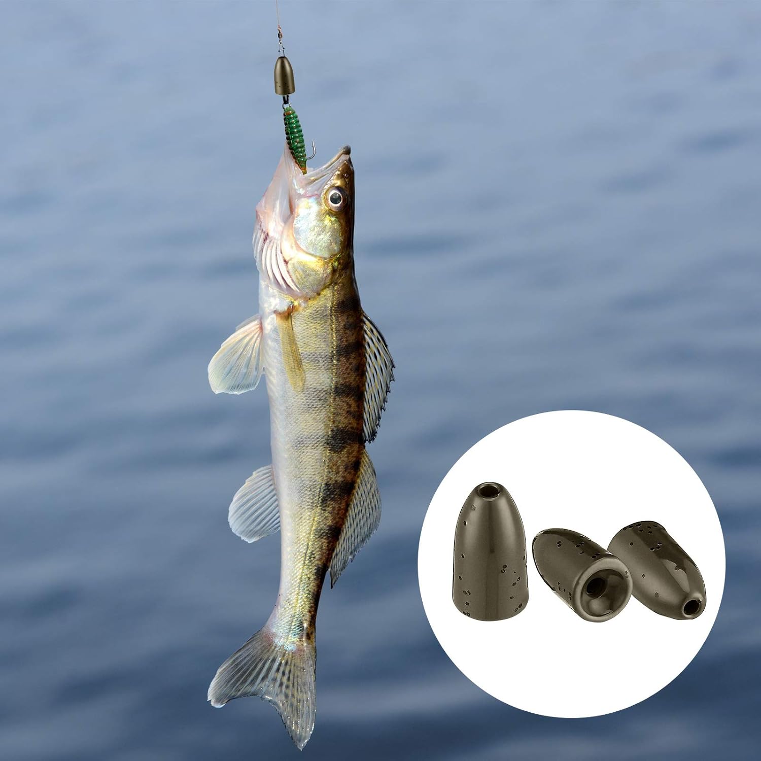 16 Pieces Tungsten Worm Weights Tungsten Flipping Weights Fishing Weight Sinkers for Bass Fishing Pitching and Flipping : Sports & Outdoors
