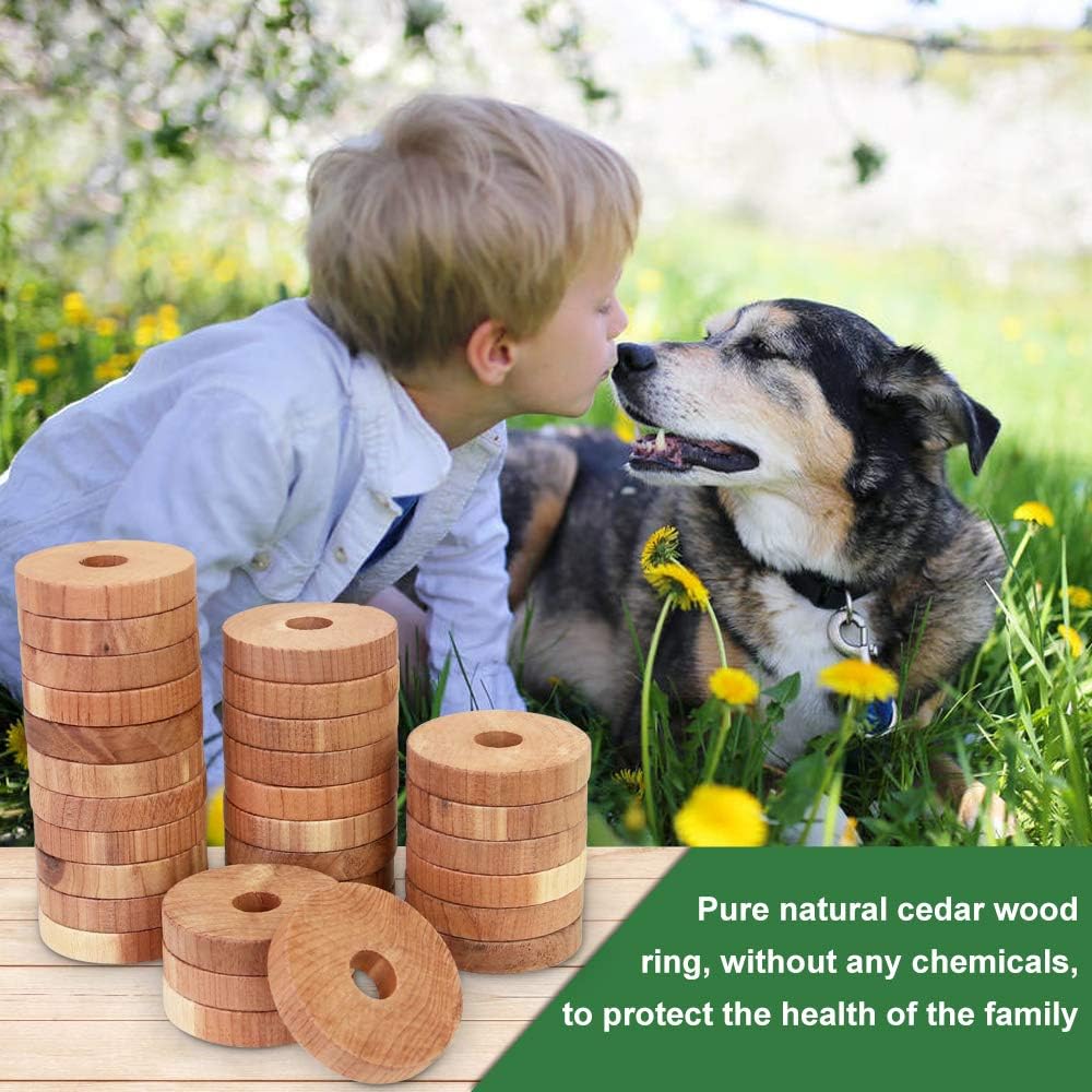 GOLRISEN Natural Cedar Wood Moth Repellent,30 Pack Cedar Balls Hangers