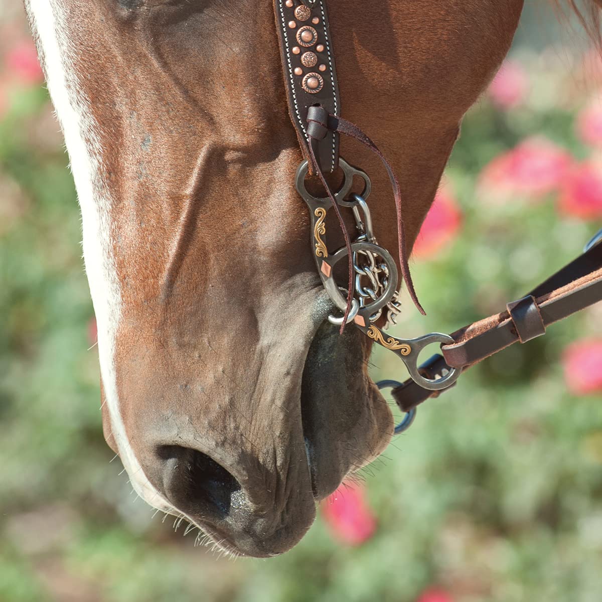 Classic Cuerda Empresa Alambre Trenzado Filo Corto, Diamond – Filete para Caballo
