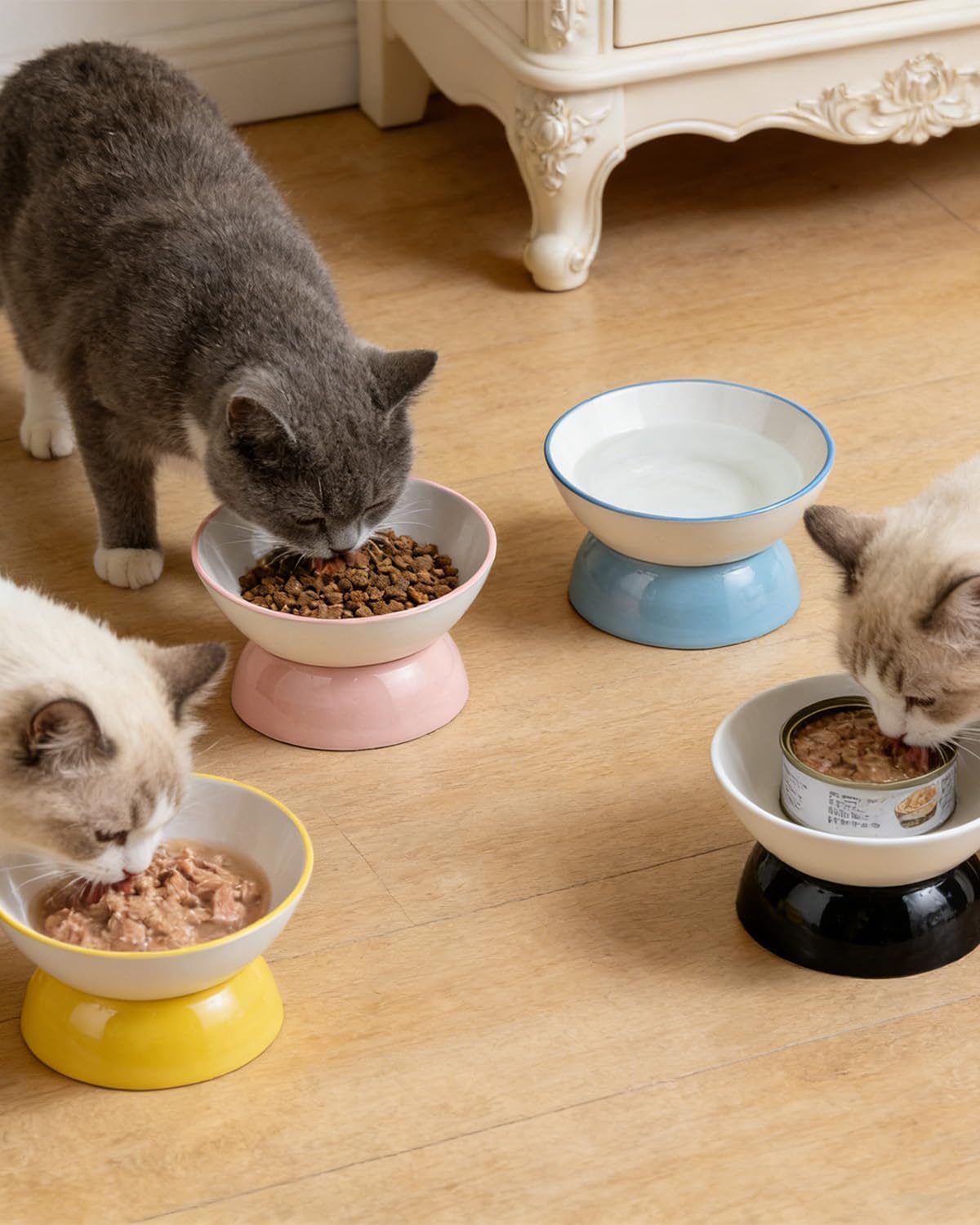 Ceramic Elevated Cats Bowls, 4Pc Extra Wide Raised Cats Bowls, Shallow Whisker Friendly Food & Water Dish, Anti Vomit, Microwave & Dishwasher Safe, 5 oz (Colorful 5.3 x 3.5'')
