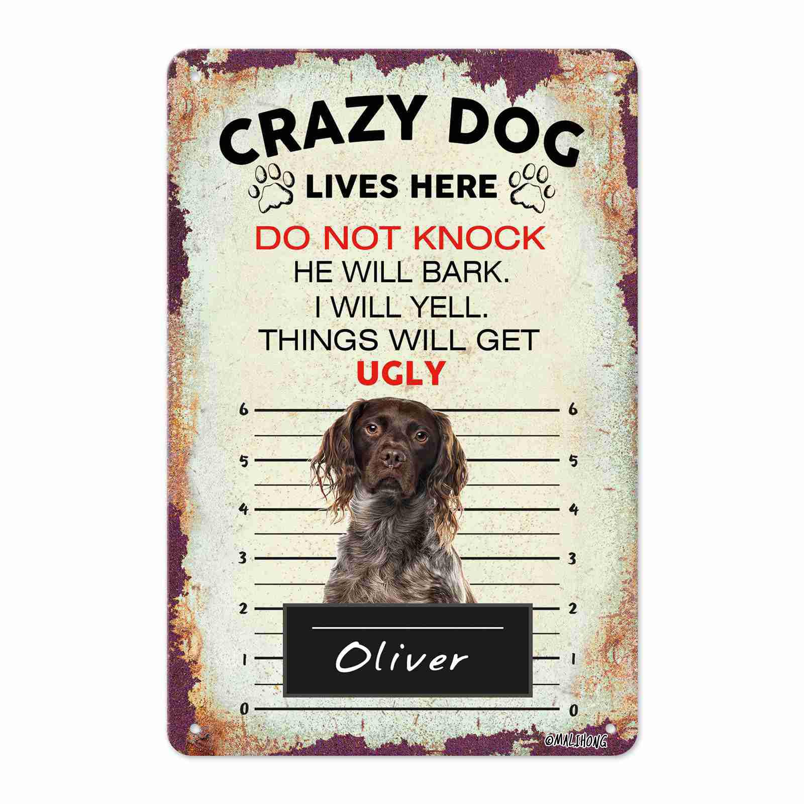 Amazon.com: MALIHONG Personalized Crazy Dog Metal Sign Brittany