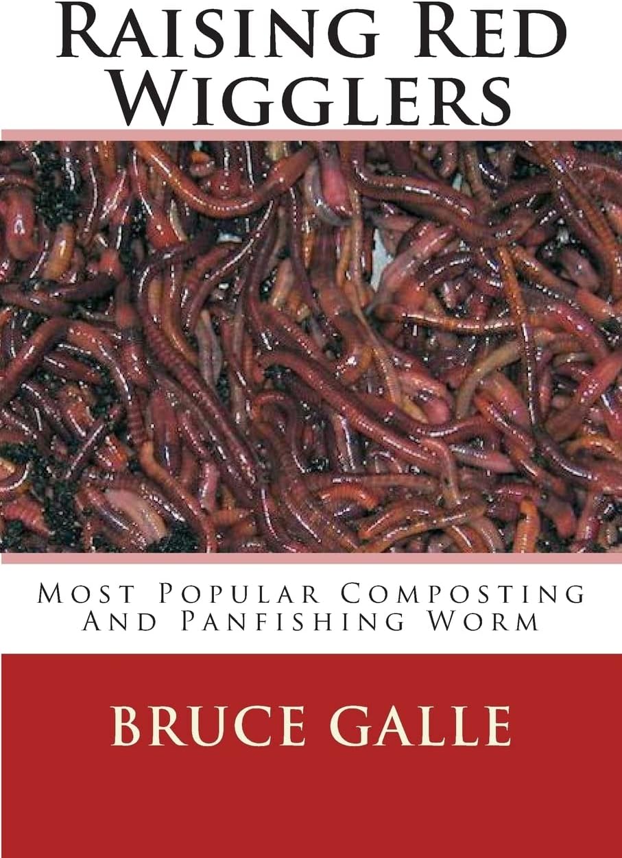 Raising Red Wigglers: Most Popular Composting And Panfishing Worm