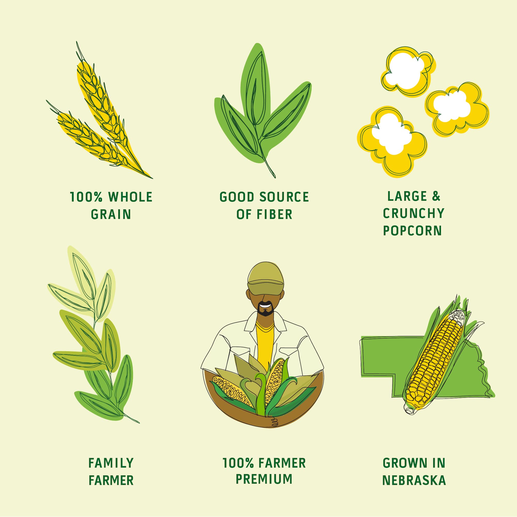 Connect Snacks NonGMO Large Popcorn Kernels (24 oz bag, 100 cups of