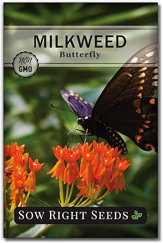 Sow Right Seeds Semillas de algodoncillo de mariposa  Atrae monarca y otras mariposas a tu jardín  Paquete de semillas de reliquia sin OMG con