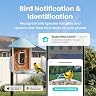 NETVUE by Birdfy Smart Bird Feeder  thumbnail 2