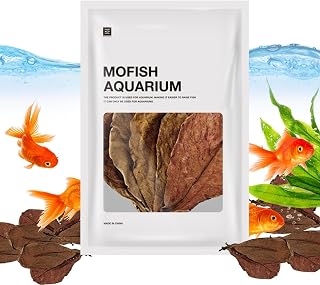 Hojas de catappa – Terminalia natural orgánica hojas de catappa | Acuario de hojas de almendra premium | Hojas de almendra para tanque de peces Betta Agua y apoyo a la salud