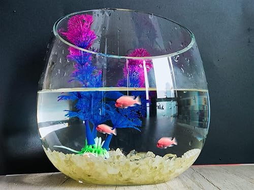 Vista 104 de ZHIYUXI Piedras de cristal de cornalina para pecera, grava, jarrón de relleno, cristales triturados, cristales curativos pulidos, piedra de cuarzo K