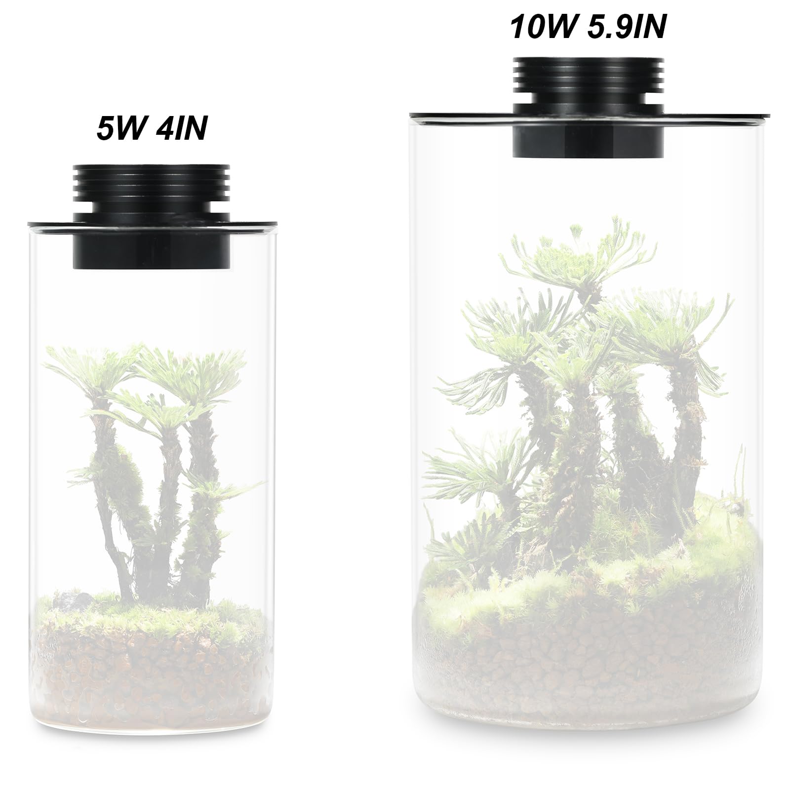 Glas Terrarium Pflanze Anzuchtlampe für Vasen bis 15,9 cm Durchmesser, Licht mit Timer Auto On/Off, Betta Aquarium, Zimmerpflanzenwachstum, Sukkulenten, Miniatur Gartenarbeit Landschaft, Luftpflanzen