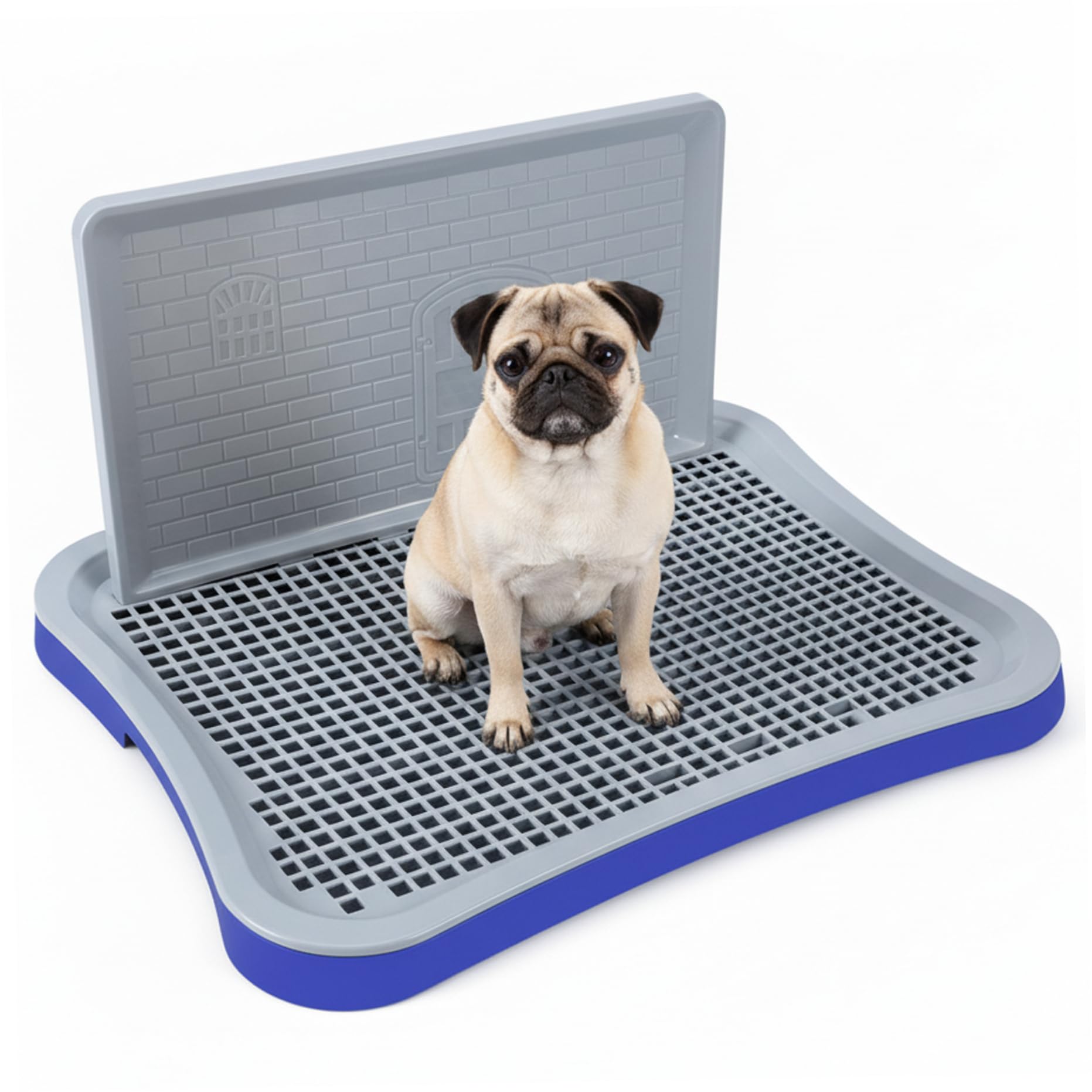 Plateau de Pot d'intérieur pour Toilettes pour Chien, avec parois Hautes, Support Amovible en Maille pour Pipi, pour Chiots et Petits Chiens, Bleu
