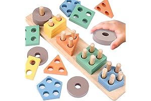 Montessori Toys for Babies Age 2-3 Years
