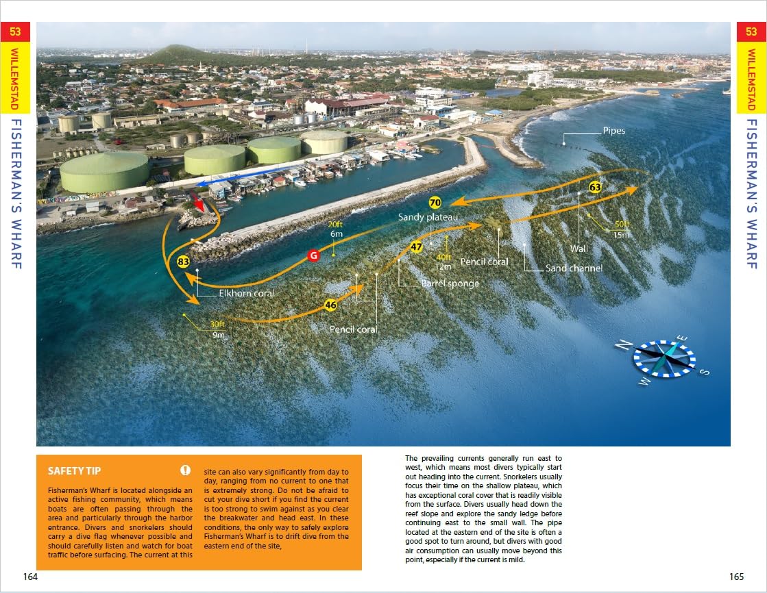 Reef Smart Guides Curaçao: (Best Diving and Snorkeling Spots in Curaçao)
