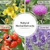 4PCS Upgraded Herbal Diffuser Pen,Plant-Based Aromatherapy Diffuser Set,Dual-Action Herbal Purifier Pens for Sleep Support,Lung Cleansing and Breathing Support,Pocket-Sized Design
