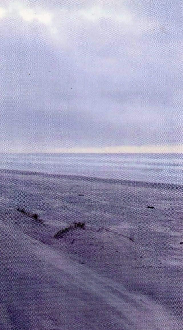 Autom co Slow Me Down, Lord holy card - laminated - Pack of 25