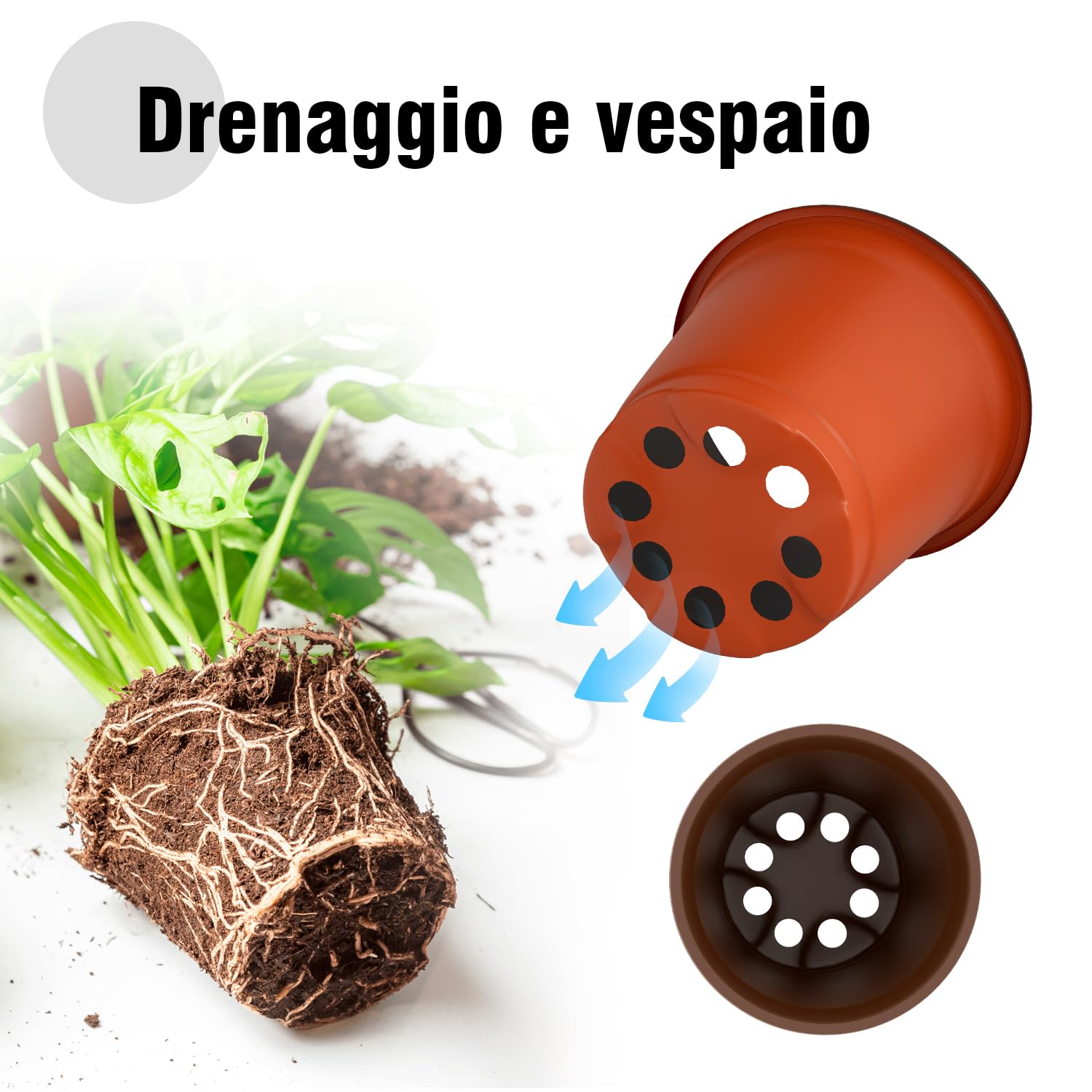50 Vasi Per Piante In Plastica, 10x8 Cm, Con Fori Di Drenaggio — Riutilizzabili, Ideali Per Piantine, Fiori E Ortaggi — Per Interni Ed Esterni - 4