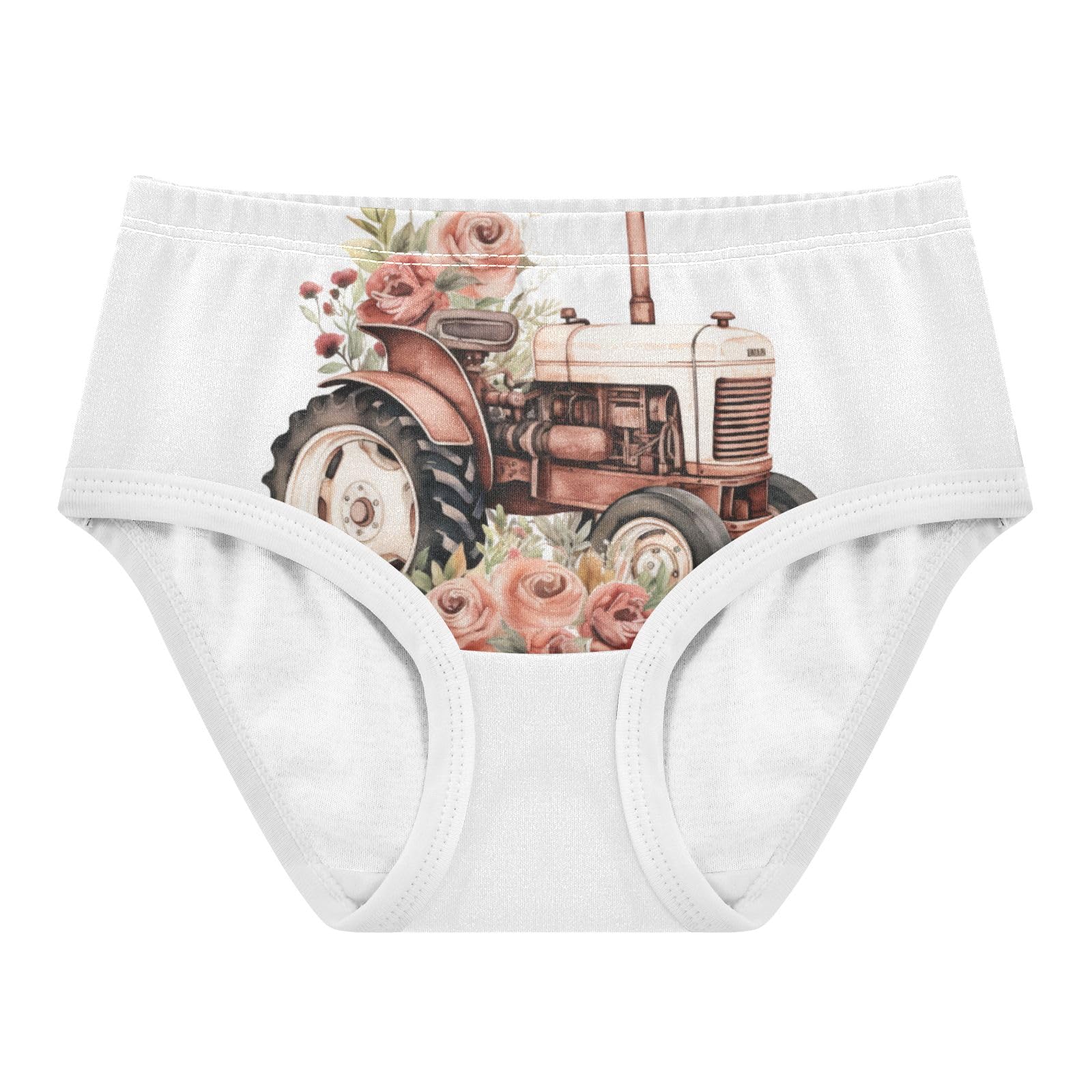 ALAZA Toddler Girls Cotton Hipster Underwear Soft Steam Engine 2 Pack 2T