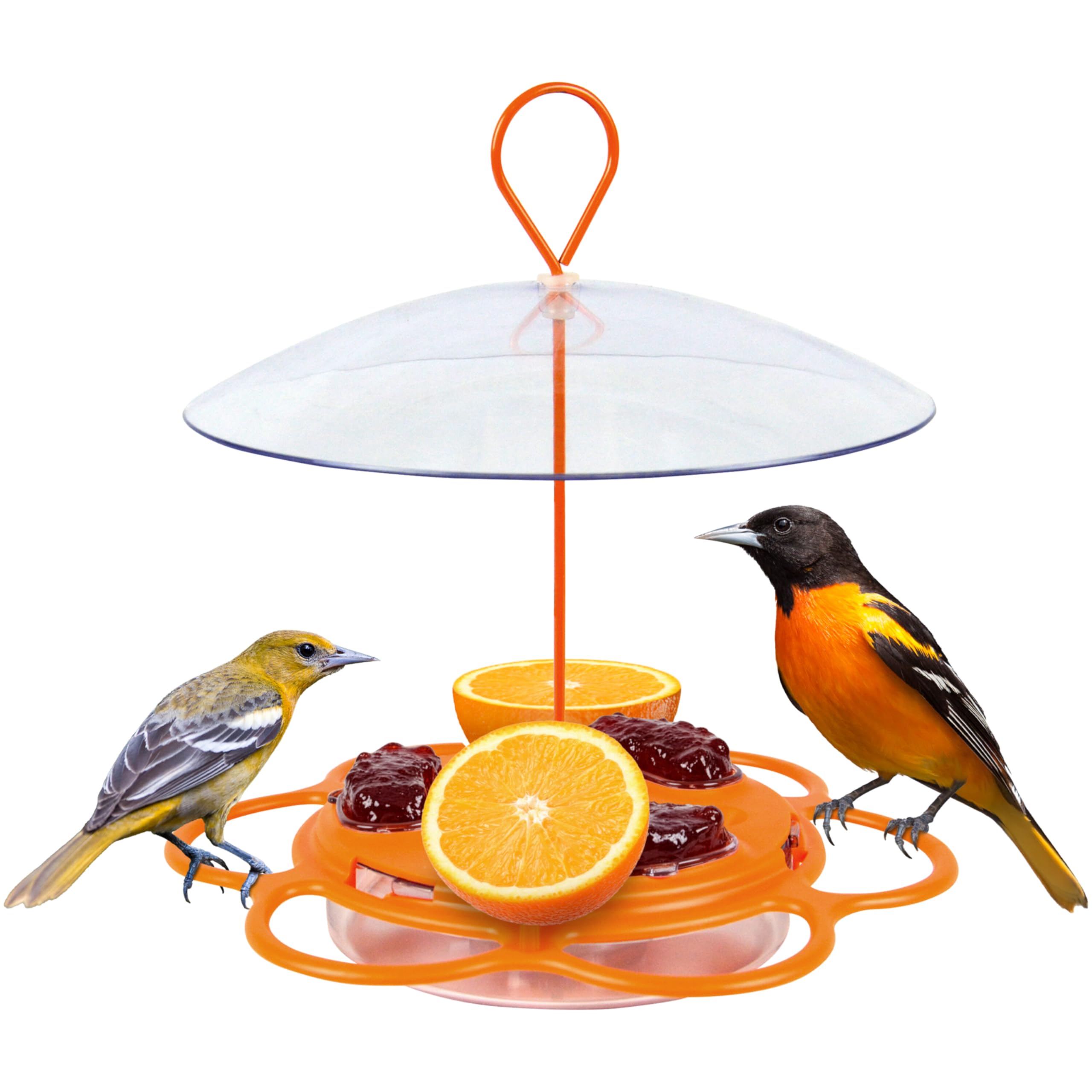 レザレクション　Oriola No,3 Amazon.com : Nature's Way Multi-Station Oriole Feeding Center with