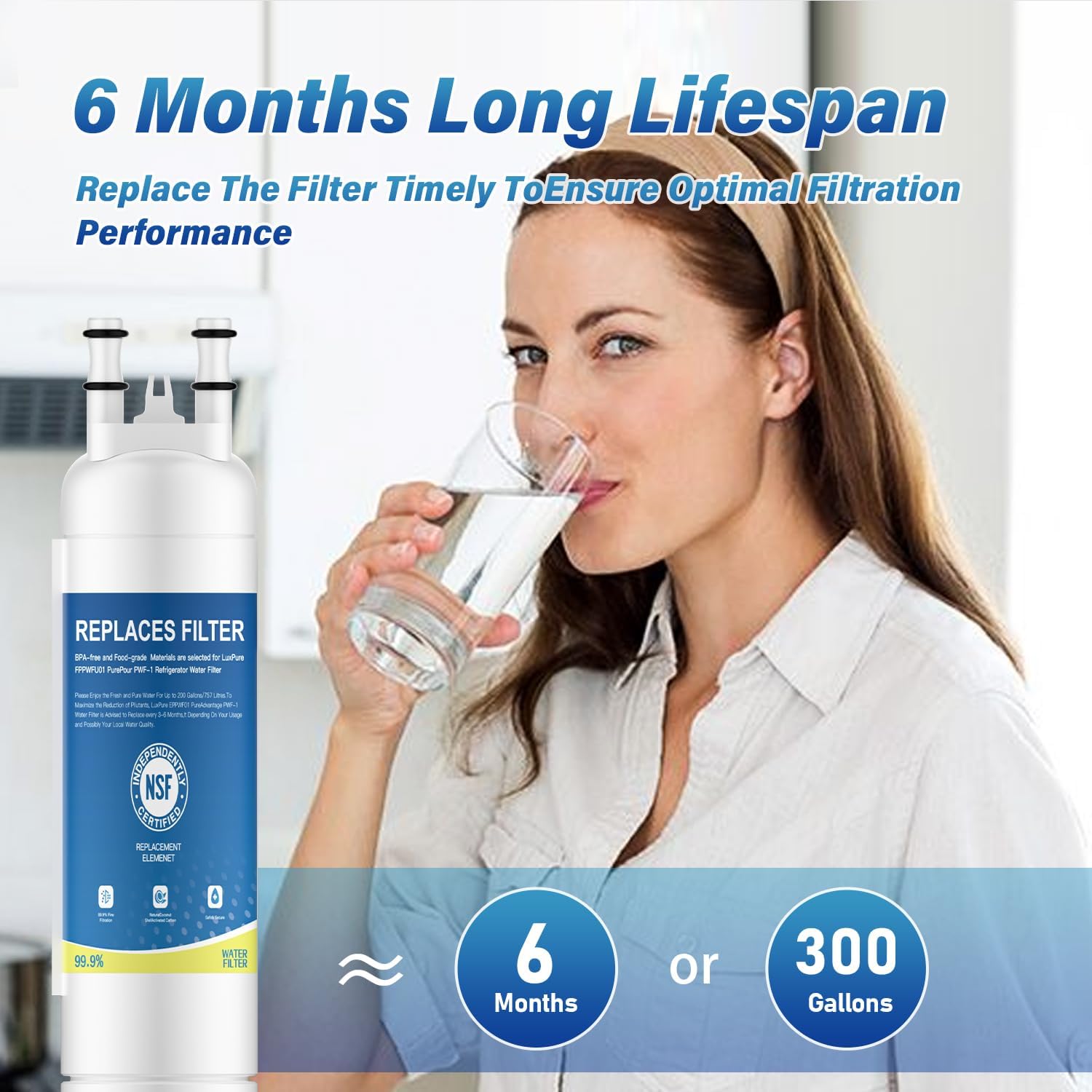 FPPWFU01 Water Filter Replacement, Compatible with FPPWFU01 Frigidaire Water Filter, Electrolux Gallery Water Filters, EPPWF01, PureAdvantage PWF-1, PurePour (2-piece)