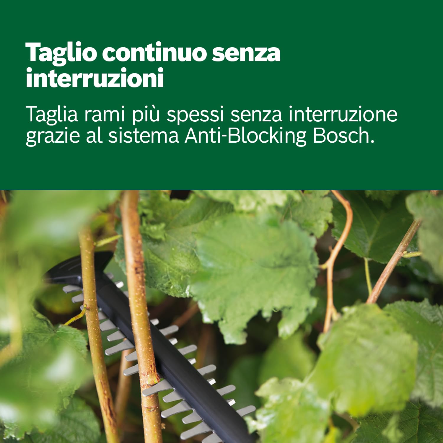 Bosch Home and Garden Tagliasiepi a batteria UniversalHedgeCut 18V-50 (1 da 2,5 Ah, sistema 18 Volt, lunghezza lama 50 cm, in confezione di cartone)