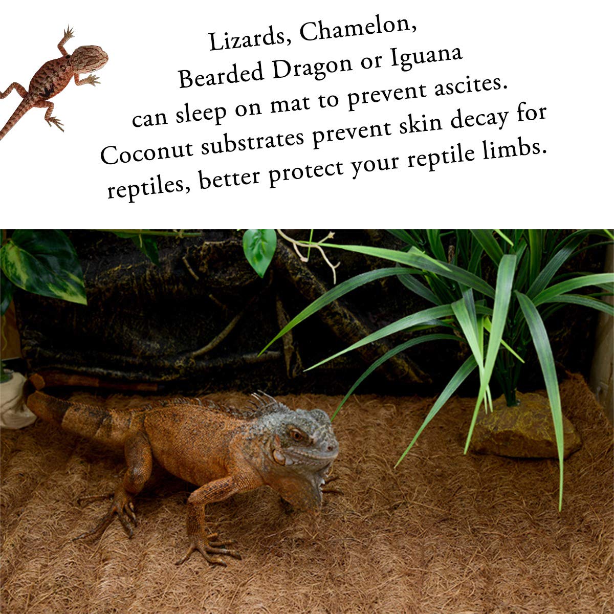 Alfombra de reptil de fibra de coco natural, 36 x 18 pulgadas, alfombra de tortuga para forro de terrario de mascotas, suministros de cama de reptiles para lagarto, serpiente, camaleón,