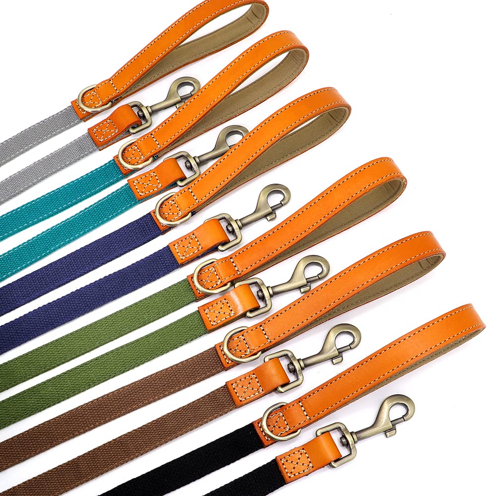 Collare per Cani guinzaglio Set Collana per Cani in Pelle di Nylon collari per targhetta identificativa per Animali Domestici 5 Piedi Corda da Passeggio per Cani Carlino