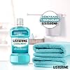 listerine, cool mint, daily oral care product, light taste, zero alcohol, mint flavored, 250ml