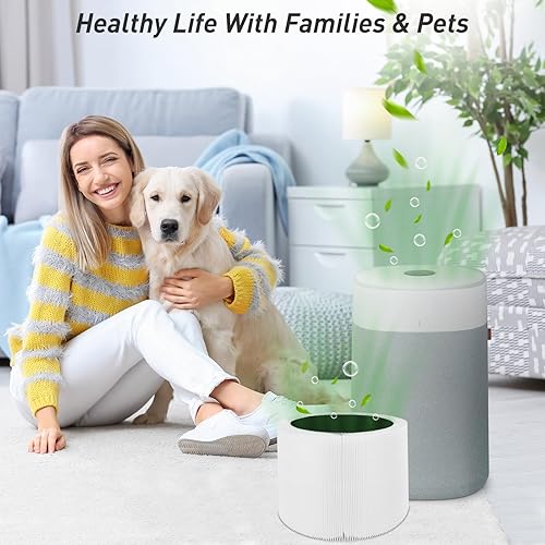 Miniatura 5 de Filtro de repuesto 211i Max compatible con Blueair Blue Pure 211i Max, filtro de repuesto 3 en 1 H13 Ture HEPA y carbón activado, paquete de 2